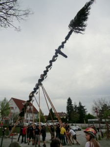 Maibaum_2012_164