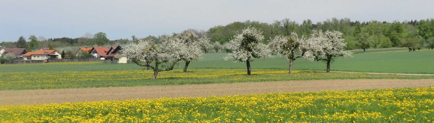 Maiwanderung